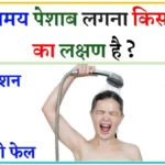 GK Question And Answer